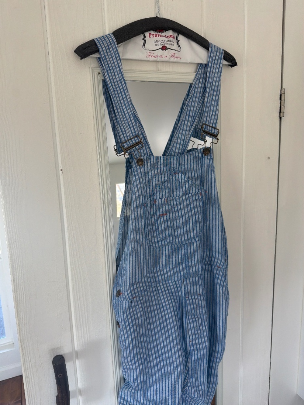 Faherty linen overalls